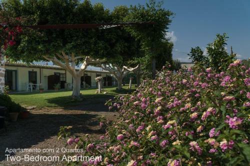 Apartamento Akisol Olh�o Star