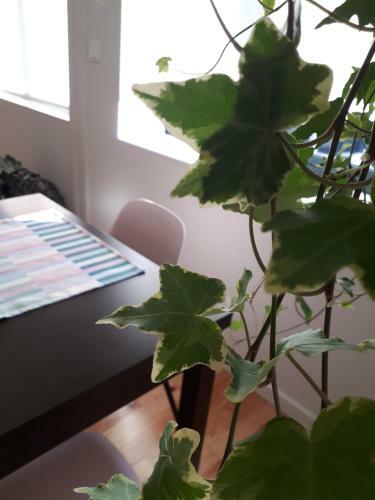 Apartamento Porto Nascente