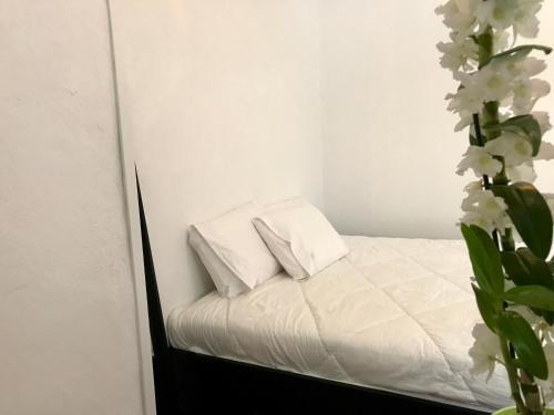 Firmeza Apartments