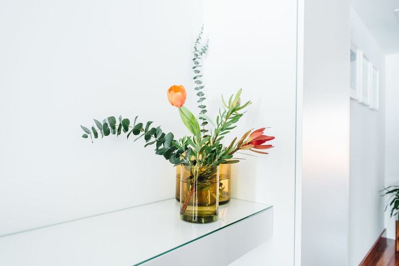 Hostal Myo Design House