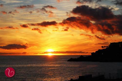 Bed & Breakfast Guesthouse Vila Lusitania