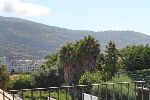 Villa Stylehouse By Ourmadeira
