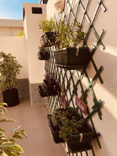 Agroturismo Vila Lido