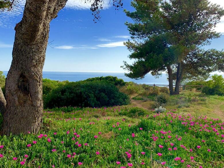 Holiday Home Estr. Do Farol
