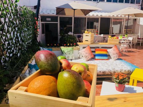 Albergue Cascais Terrace Fruit Point
