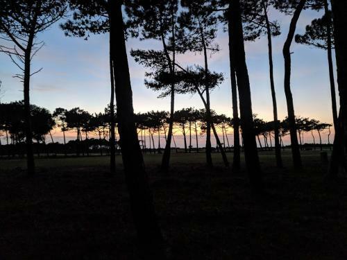 Sixteen Marinha Villa