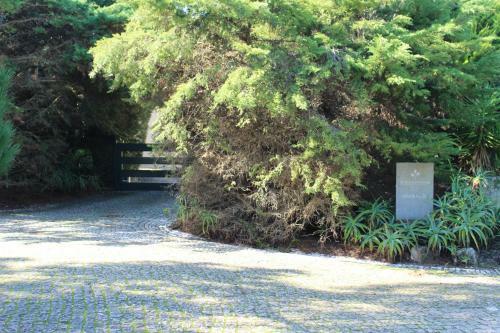 Sixteen Marinha Villa