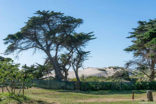 Guincho Paradise