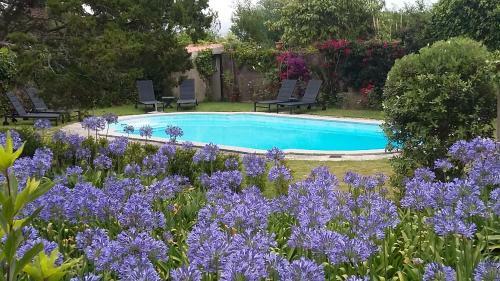 Bed & Breakfast Quinta Colina Flora