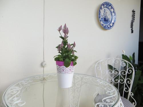 Apartamento Caparica For Rent
