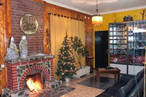 Hostal Mikotania