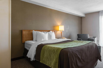 Hotel Comfort Inn Dartmouth