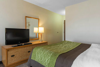 Hotel Comfort Inn Dartmouth