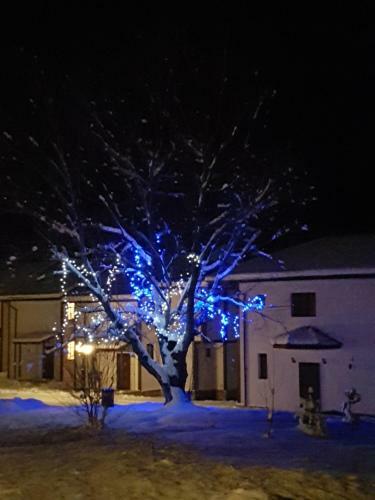 Hotel Bansko Castle Lodge