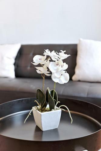 Cityzen Apartments Colline