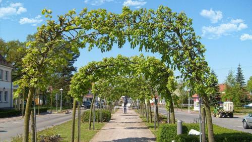 Apartamento Ferienwohnung-adlerhorst