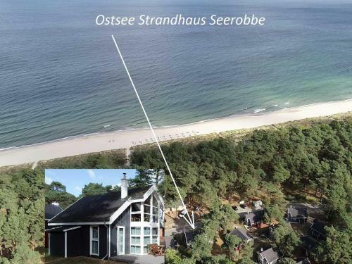 Ostsee Strandhaus Seerobbe
