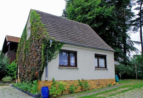 Apartamento Ferienwohnungen Im Ostseebad Baabe