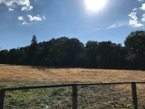 Apartamentos Ferienwohnungen Am Elfenstein