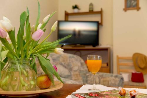 Apartamento Quartier Nr_ 6