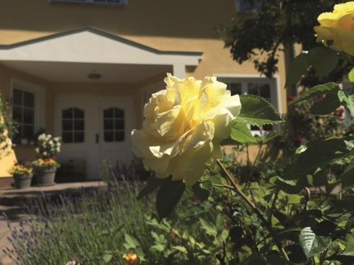Apartamento Ferienwohnung Muehlenblick