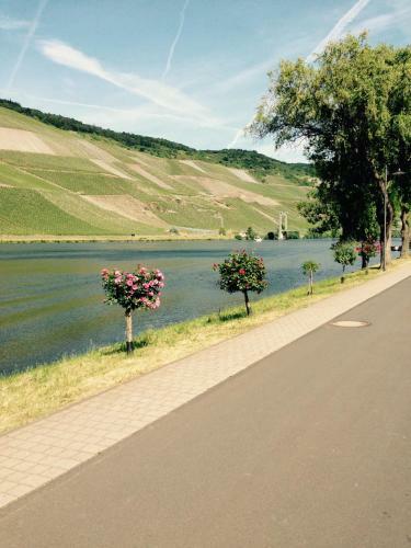 Apartamento Ferienwohnung Mosel