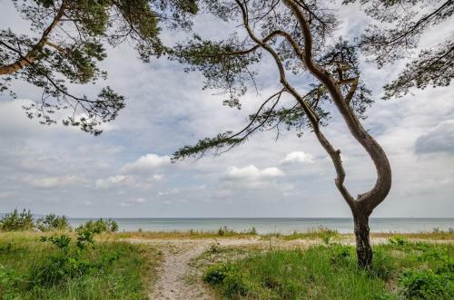 Apartamento Fewo Prora - F�r Immer Liebe