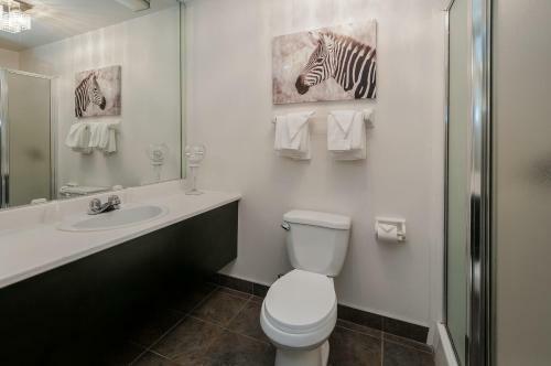 Hotel H�tel & Suites Monte-cristo