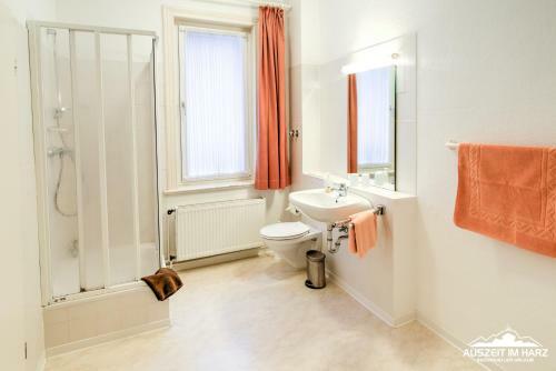 Apartamento Auszeit Im Harz Haus 4