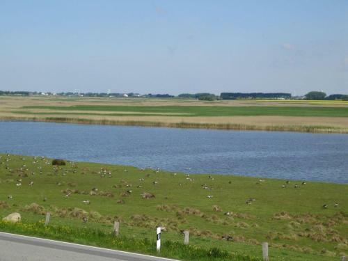 Apartamento Haus-halligblick-ferienwohnungen-am-meer