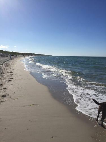 Fh Dierhagen Strand