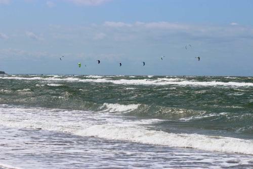 Apartamento Strandflieder App Nr 05 Max 3 Pers