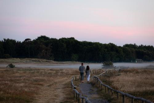 Reetland Am Meer