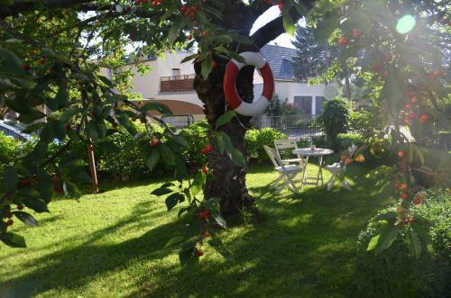 Apartamento Adele - G�stezimmer Und Pension Am Elberadweg