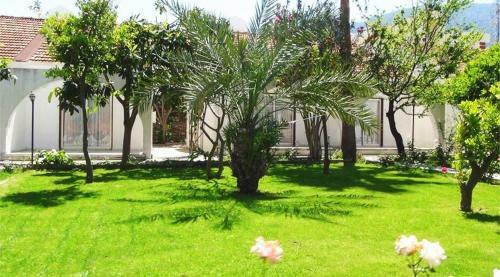 Hostal Rose Gardens Boutique & Pool & Restaurant