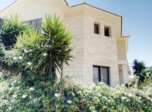 Villa Elena