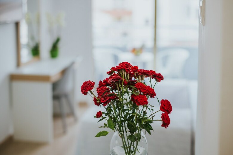 Apartamento Stephanie Studios