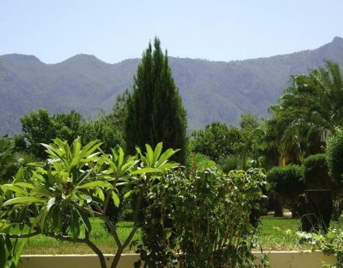 Hotel Mount View