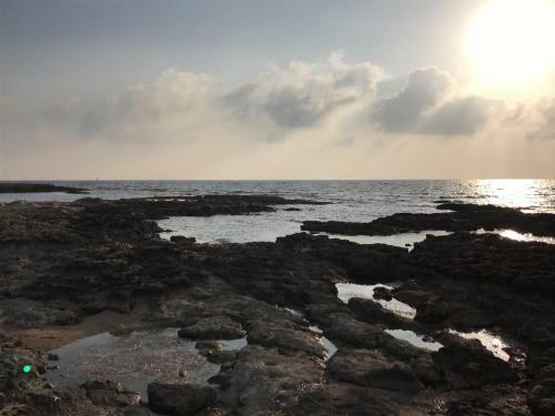 Apartamento Ikaria Village 202