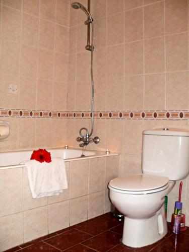 Apartamento Pafia 2 - 306