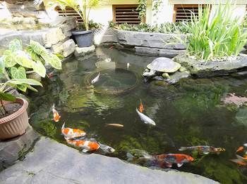 Hotel Duta Garden