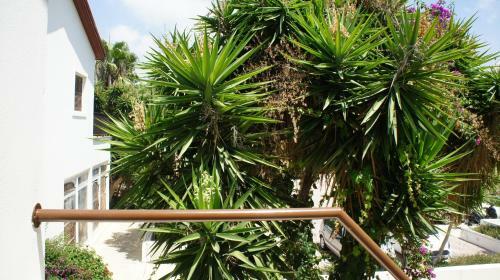 Apartamento Limnaria Westpark 129