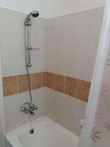 Amalia Holiday Apartment