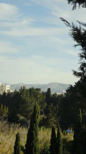 Paphos Holiday Home