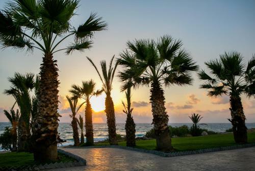 Hotel Louis Paphos Breeze