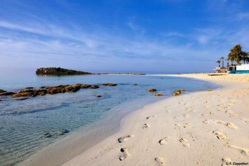 ?imagine Renting A Villa With Very Large Pool? Protaras Villa 98