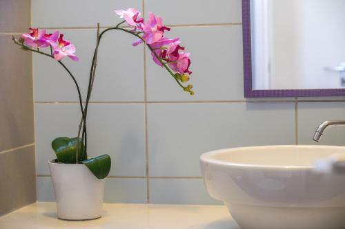 Apartamento Aster Suite