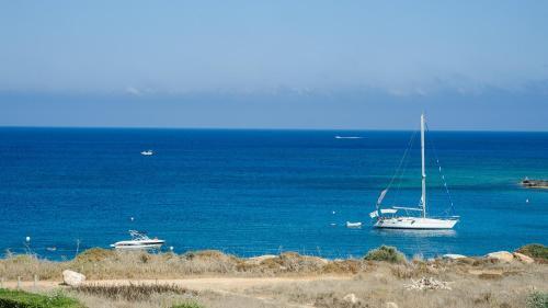 Rent Private Villa 196