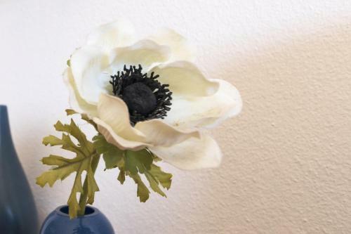 Apartamento Cipresso