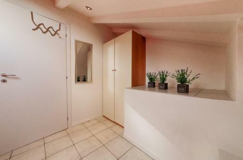 Apartamento Mimosa